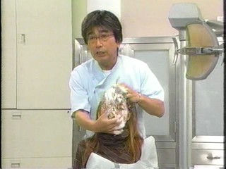 Shimura`s Short Story