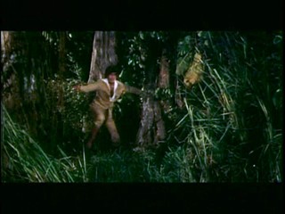 Mr Natwarlal (1979) (Male WAM)