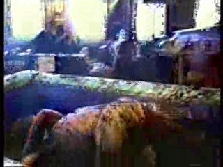 Pleasure Seekers - 1