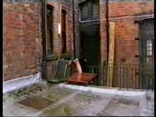 Pleasure Seekers - 1