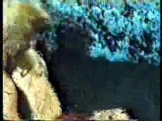 Pleasure Seekers - 2