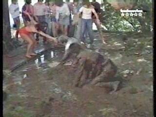 Mud Fight B movie