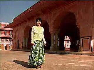 Japanese documentary