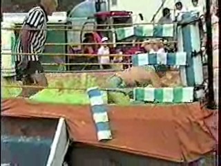 Green Slime Wrestling. #201