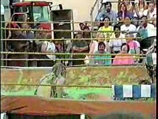 Green Slime Wrestling. #202