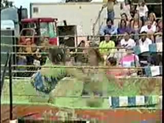 Green Slime Wrestling. #203