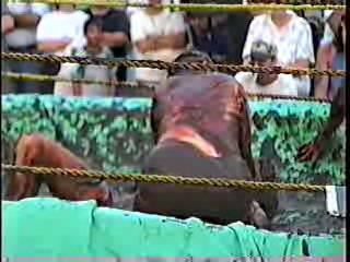 Mud Wrestling. #206