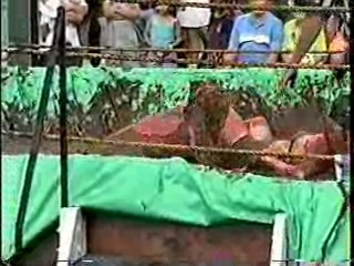 Mud Wrestling. #208