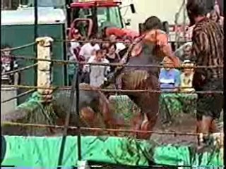 Mud Wrestling. #208
