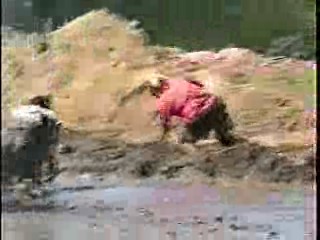 Mud Volleyball #212