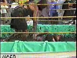Mud Wrestling. #301
