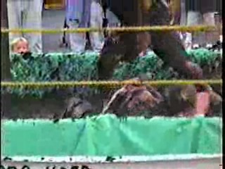 Mud Wrestling. #304