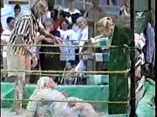 Oatmeal Wrestling #311