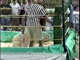 Oatmeal Wrestling #313