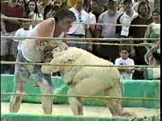 Oatmeal Wrestling #314