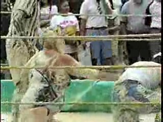 Oatmeal Wrestling #314