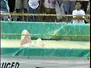 Oatmeal Wrestling #314