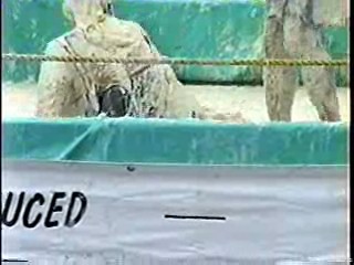 Oatmeal Wrestling #314