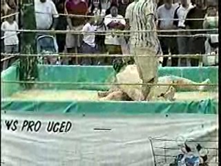 Oatmeal Wrestling #314