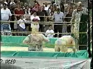 Oatmeal Wrestling #314