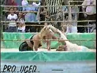 Oatmeal Wrestling #315