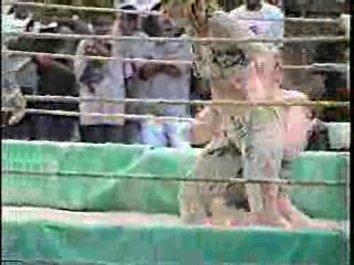 Oatmeal Wrestling #315