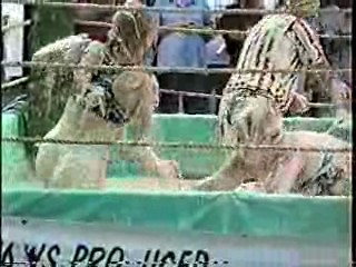 Oatmeal Wrestling #315