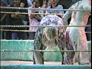 Oatmeal Wrestling #316
