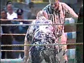 Oatmeal Wrestling #316