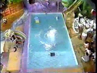 TVO (Mexican Gameshow)