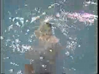 TVO (Mexican Gameshow)