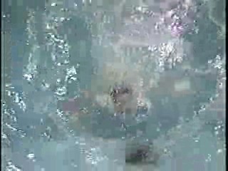 TVO (Mexican Gameshow)