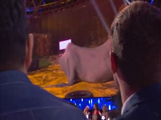 Ciao Darwin 8 - Genodrome