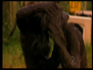  National Lampoon's Holiday Reunion