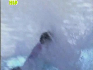 SMS, sin miedo a soÃ±ar