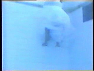 Gill in a wedding dress,  Sammy in yellow