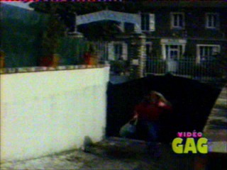 America's Funniest Home Videos