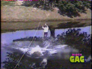 America's Funniest Home Videos