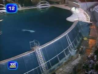 L'Ã©tÃ© des reccords french tv show