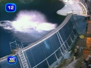 L'Ã©tÃ© des reccords french tv show