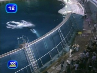 L'Ã©tÃ© des reccords french tv show