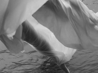 POM Aphrodite Commercial