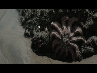 Taylor Swift - The Making of Out of the Woods