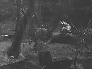 The Alligator People