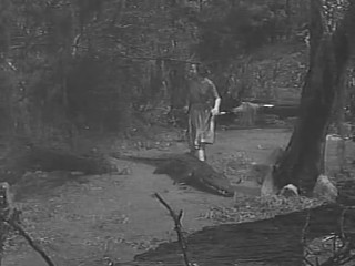 The Alligator People