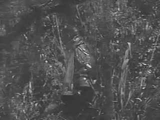 The Alligator People