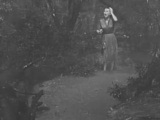 The Alligator People