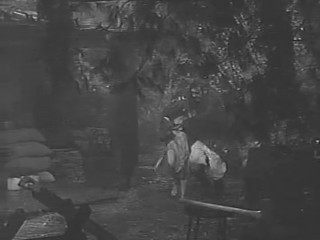 The Alligator People