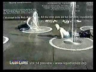 Liquid Ladies Vol 14 sampler