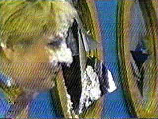 Richard Bay show pies